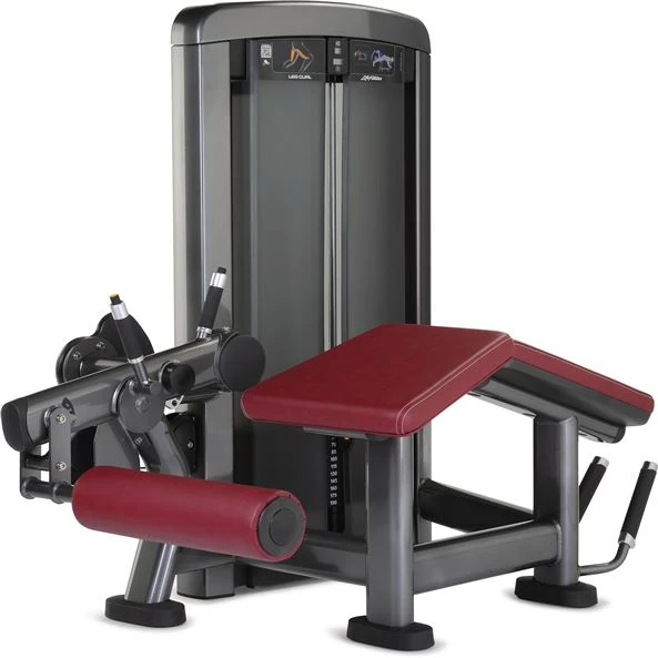 Leg Curl Machine: Tighten Posterior Thighs price